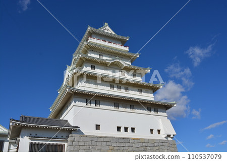 Joso City Regional Exchange Center Toyota Castle (Ibaraki Prefecture) Joso City Regional Exchange Center Toyota Castle (Ibaraki Prefecture) 110537079
