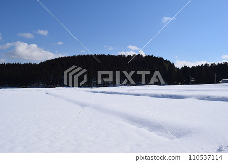 杉林雪景山形縣 110537114