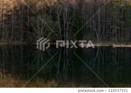 Mishaka Pond in early winter shrouded in afternoon darkness 110537331