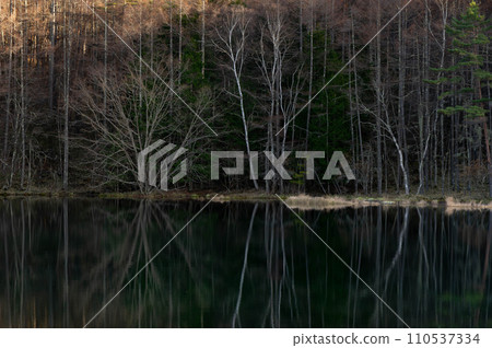 Mishaka Pond in early winter shrouded in afternoon darkness Mishaka Pond in early winter shrouded in afternoon darkness 110537334