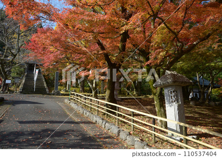 京都市山科區岩屋寺入口引道 110537404