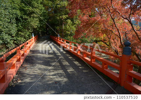 京都市山科區本國寺、琵琶湖運河引橋 110537510