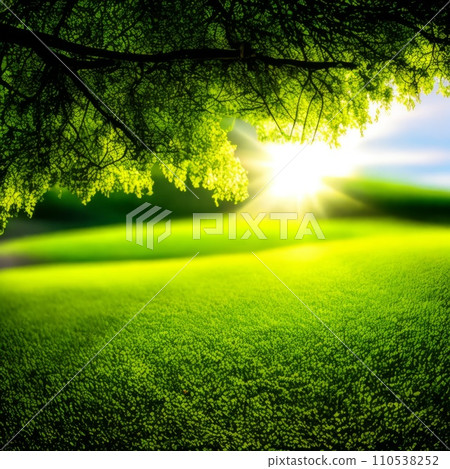 Beautiful blurred background image of spring nature branch tree Beautiful blurred background image of spring nature branch tree 110538252