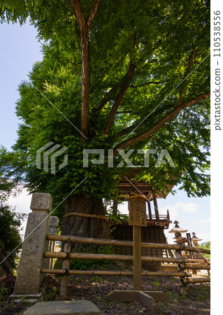 Spring in Ueda City, Nagano Prefecture, Bessho Onsen with fresh greenery, Kitamukai Kannon Spring in Ueda City, Nagano Prefecture, Bessho Onsen with fresh greenery, Kitamukai Kannon 110538556