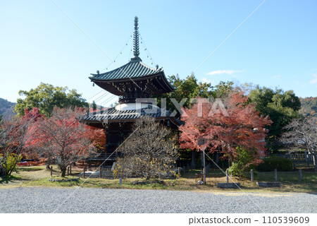 京都市宇京區佐賀縣多寶戶秋日清涼寺 110539609