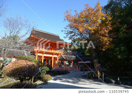秋天 上賀茂神社樓門 京都市北區 110539745