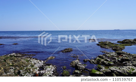 [Japan] View of the rocky area of Oimonohana (Sarushima, Kanagawa) 110539767