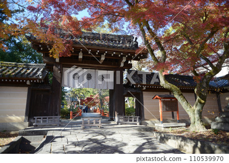 京都市北區紫野今宮神社東門的秋天 110539970