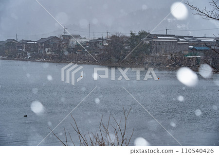 拍攝湖北滋賀縣高島市牧野町貝津浜白雪皚皚的古老村莊。 110540426