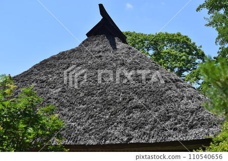 紫陽花盛開的青龍山吉祥寺 110540656