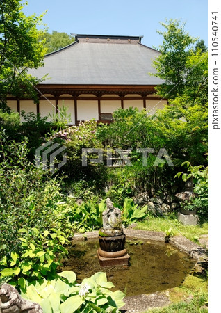 Seiryuzan Kichijoji, where hydrangeas are in full bloom 110540741