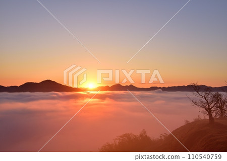 從黑井城遺址看到筱山盆地的丹波霧（雲海） 110540759