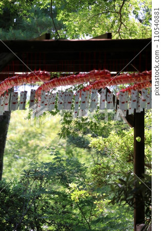 初夏的青龍山吉祥寺安裝了風鈴 初夏的青龍山吉祥寺安裝了風鈴 110540881