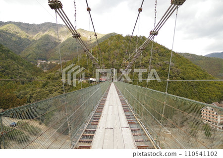 Tanze吊橋 Tanze吊橋 110541102