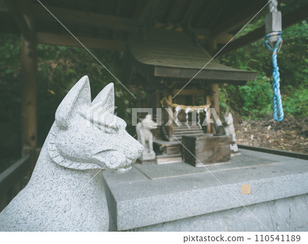 小稻荷神社的狐狸雕像 110541189