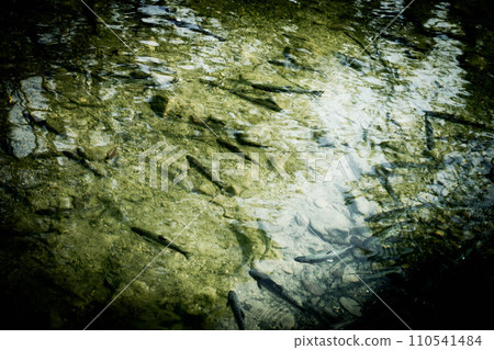 魚影～岩橋～ 110541484