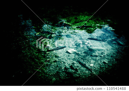 Fish Shadow ~Iwagyo~ 110541488