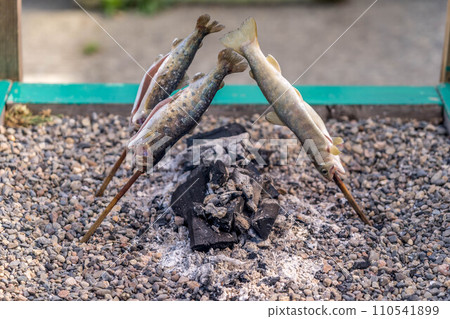 Charcoal-grilled river fish ~Blessings of nature~ Charcoal-grilled river fish ~Blessings of nature~ 110541899