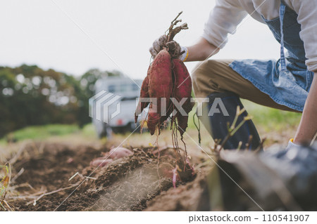 field, gents, male 110541907