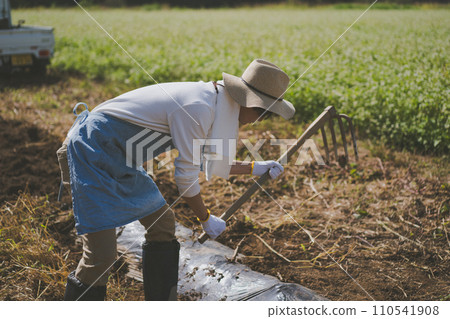 harvest, gents, male 110541908