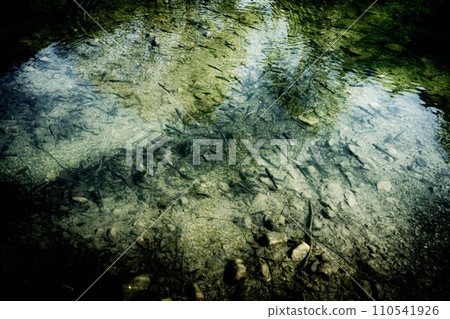 Fish Shadow ~Iwagyo~ Fish Shadow ~Iwagyo~ 110541926