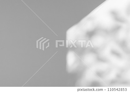 natural tree leaves shadow drop on window background natural tree leaves shadow drop on window background 110542853