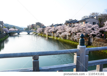 Kanazawa Kazuemachi where cherry blossoms bloom Kanazawa Kazuemachi where cherry blossoms bloom 110543181