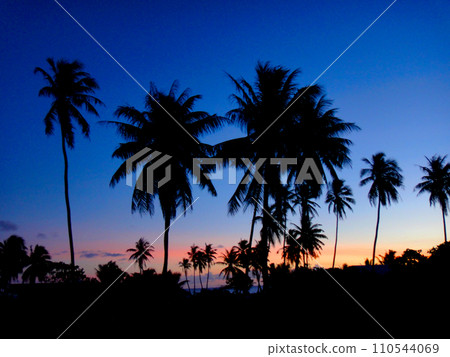 Tahiti, Rangiroa Atoll, palm trees and sunset 110544069