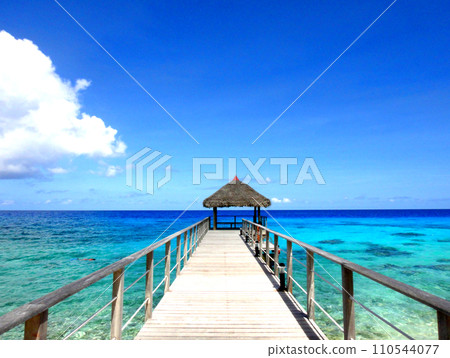 Tahiti Rangiroa Atoll Resort Pier 110544077