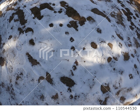 footprints left in the snow footprints left in the snow 110544530