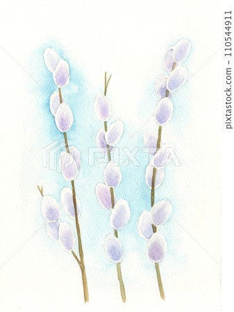 watercolor pussy willow watercolor pussy willow 110544911