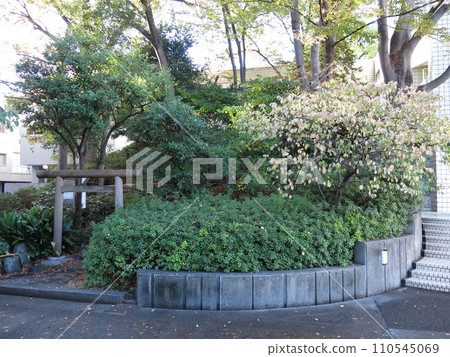 澀谷區猿岳塚（猿岳神社） 110545069