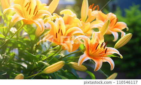 黃百合花特寫，清新的自然風光，AI生成的圖像 110546117