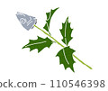 Illustration of Hiiragi Sardine (print style) 110546398
