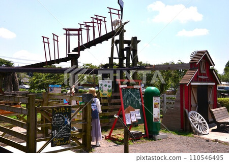 goat mountain 110546495