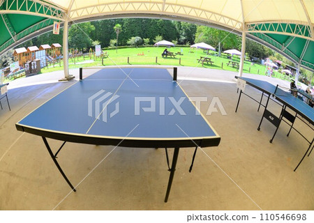 乒乓球桌 乒乓球桌 110546698