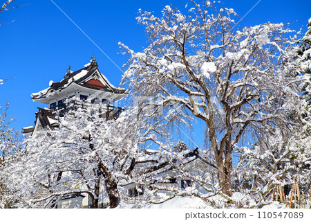 秋田縣晴朗的冬日，雪覆蓋的垂枝櫻花和橫手城，橫手城公園 110547089