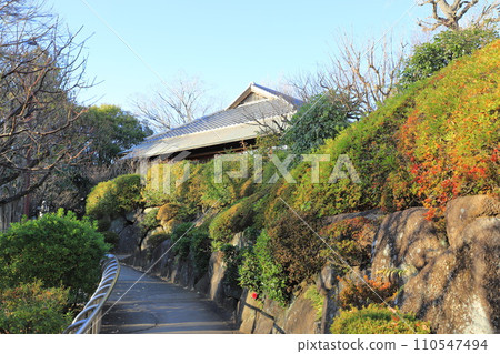 Hanegi Park, Setagaya-ku, Tokyo 110547494