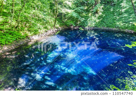Aoike Pond in Shirakami Mountains, Fukaura Town, Aomori Prefecture Aoike Pond in Shirakami Mountains, Fukaura Town, Aomori Prefecture 110547740