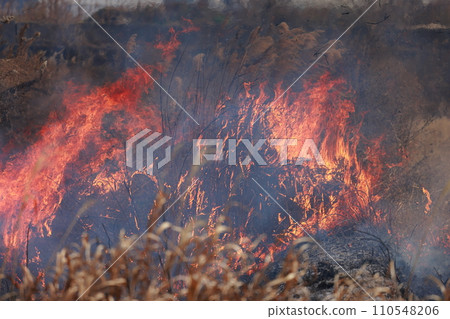 field fire field fire 110548206