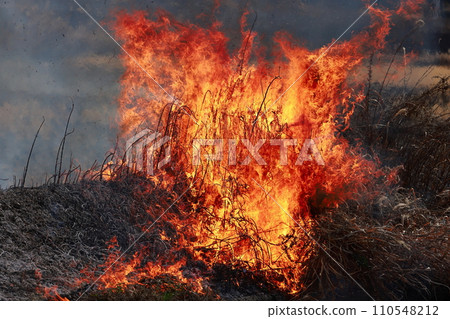 field fire field fire 110548212
