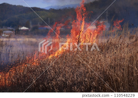 field fire 110548229