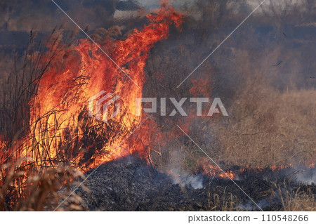field fire 110548266