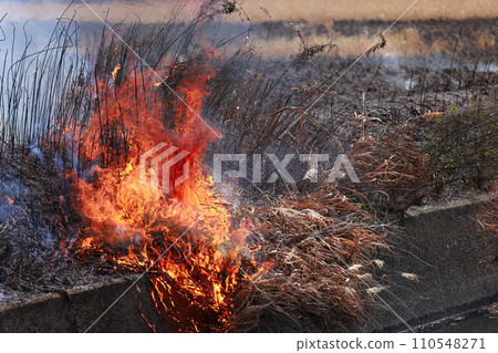 field fire 110548271