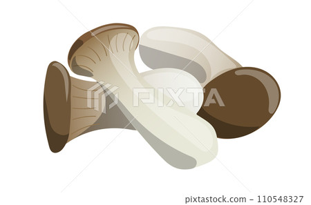 Illustration material of three eryngii 110548327