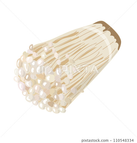 Enoki mushroom illustration material Enoki mushroom illustration material 110548334