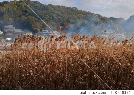 Fire from wild burning Fire from wild burning 110548335