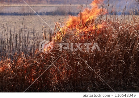 Fire from wild burning Fire from wild burning 110548349