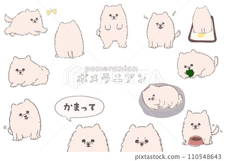 奶油色博美犬姿勢套裝 110548643