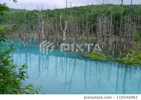 Furano/Biei Furano/Biei 110548962